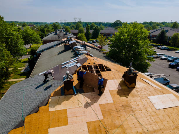 24/7 Emergency Flat Roof Repair experts in Brighton, MI
